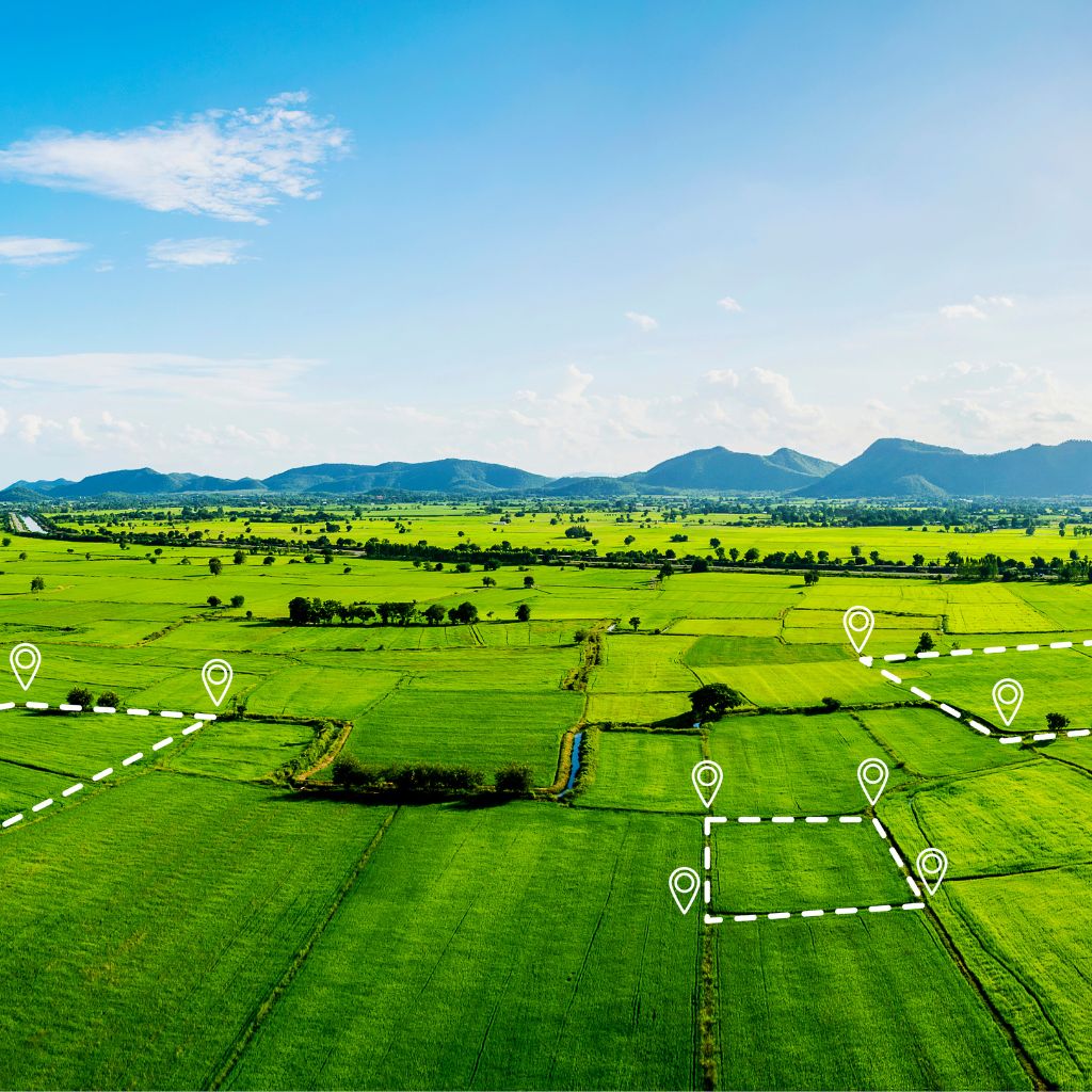 Field agriculture monitoring layout